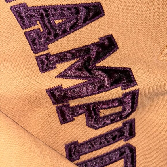 Dyed Tan and Plum Champion Crop SweatShirt - Picture 7 of 8